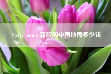 宜城新版的中国地图多少钱