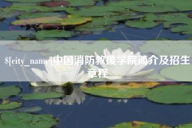 宜城中国消防救援学院简介及招生章程