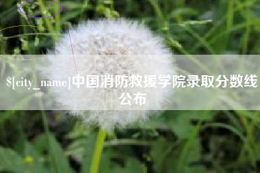 宜城中国消防救援学院录取分数线公布
