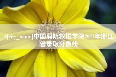 宜城中国消防救援学院2021年浙江省录取分数线