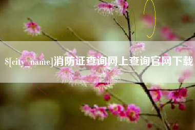宜城消防证查询网上查询官网下载