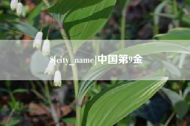 宜城中国第9金