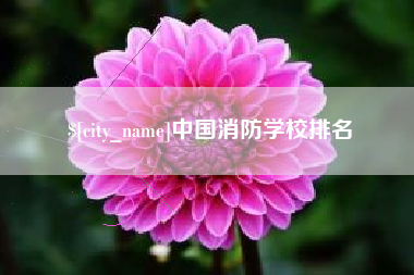 宜城中国消防学校排名