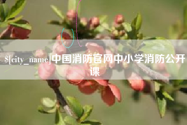 宜城中国消防官网中小学消防公开课