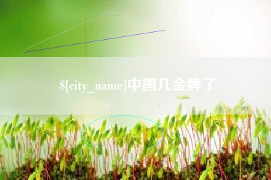 宜城中国几金牌了