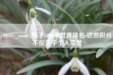 宜城男子5000米世界排名-这些积分不仅关乎个人荣誉