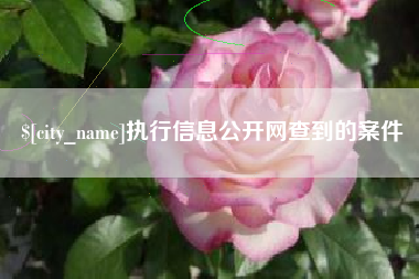 宜城执行信息公开网查到的案件