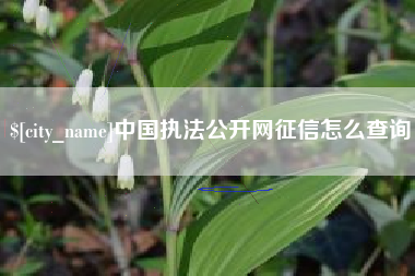 宜城中国执法公开网征信怎么查询