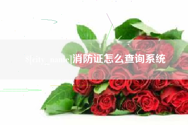 宜城消防证怎么查询系统