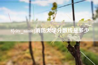 宜城消防大学分数线是多少