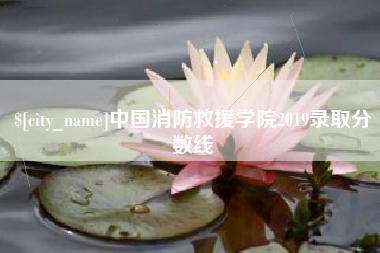 宜城中国消防救援学院2019录取分数线
