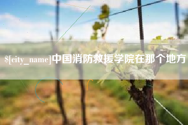 宜城中国消防救援学院在那个地方