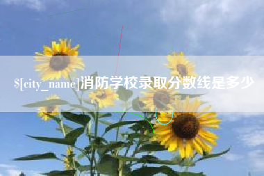 宜城消防学校录取分数线是多少