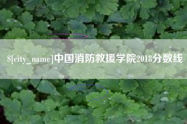 宜城中国消防救援学院2018分数线