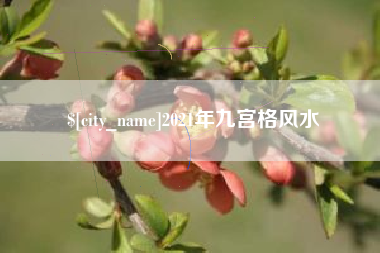 宜城2021年九宫格风水