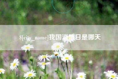 宜城我国消防日是哪天