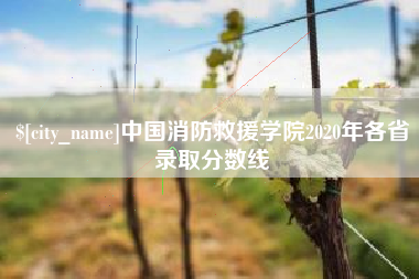 宜城中国消防救援学院2020年各省录取分数线