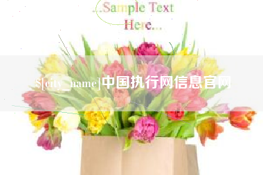 宜城中国执行网信息官网