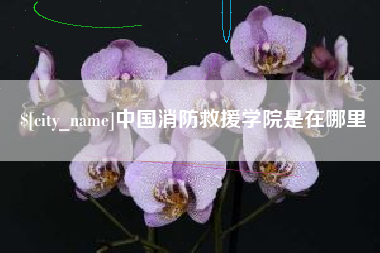 宜城中国消防救援学院是在哪里