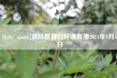 宜城消防教育公开课直播2024年9月6日