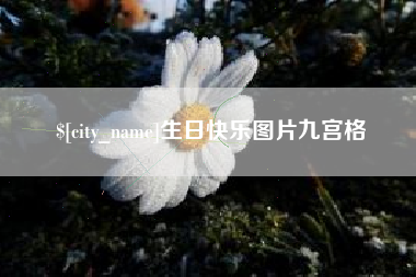 宜城生日快乐图片九宫格