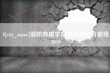 宜城消防救援学院招生录取分数线2019