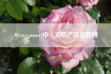 宜城中囯消防产品信息网