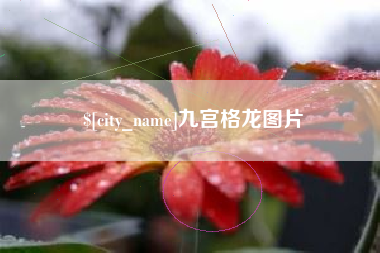 宜城九宫格龙图片