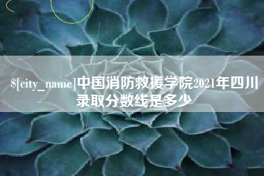 宜城中国消防救援学院2021年四川录取分数线是多少