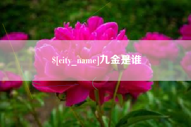 宜城九金是谁