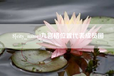 宜城九宫格位置代表成员图