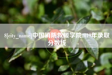宜城中国消防救援学院2019年录取分数线
