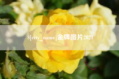 宜城金牌图片2021