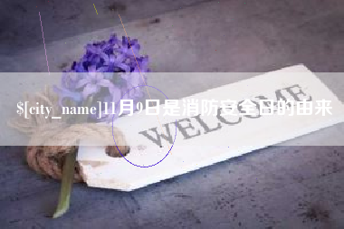 宜城11月9日是消防安全日的由来