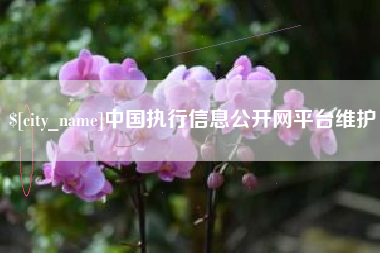 宜城中国执行信息公开网平台维护