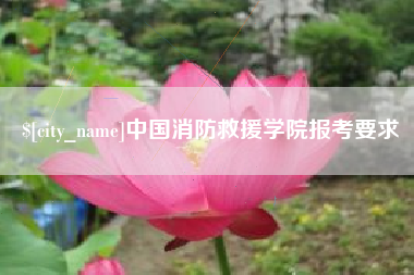 宜城中国消防救援学院报考要求