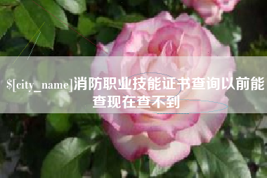 宜城消防职业技能证书查询以前能查现在查不到