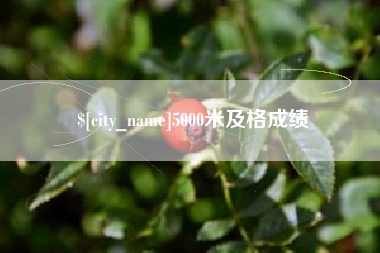 宜城5000米及格成绩