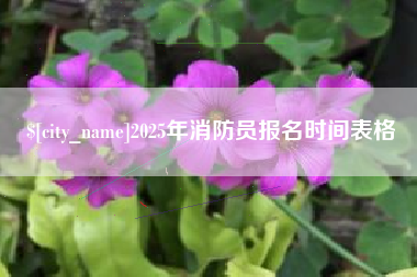 宜城2025年消防员报名时间表格
