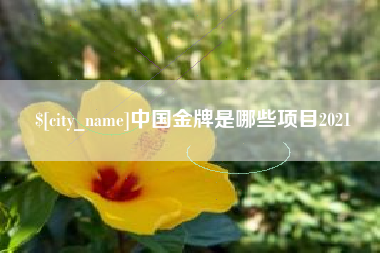 宜城中国金牌是哪些项目2021