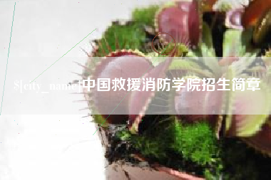 宜城中国救援消防学院招生简章