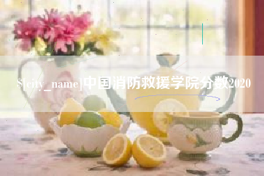 宜城中国消防救援学院分数2020