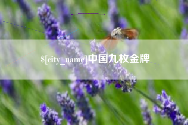 宜城中国九枚金牌