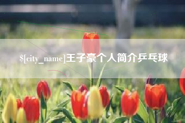 宜城王子豪个人简介乒乓球