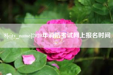 宜城2020年消防考试网上报名时间
