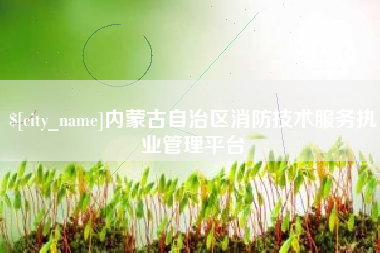 宜城内蒙古自治区消防技术服务执业管理平台