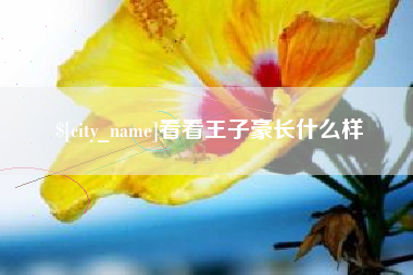 宜城看看王子豪长什么样