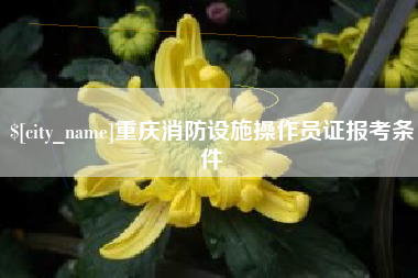 宜城重庆消防设施操作员证报考条件