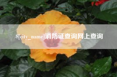 宜城消防证查询网上查询