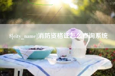 宜城消防资格证怎么查询系统